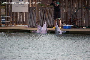 20090422 Singapore-Sentosa Island  58 of 138 